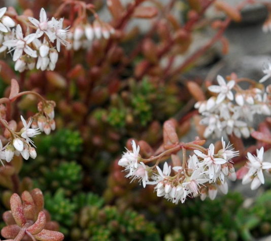 2025-11-02 12_58_33-Greenshot