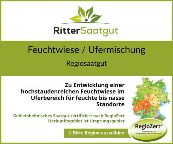 Feuchtwiese / Ufermischung 70/30 Feuchtwiese / Ufermischung 70/30