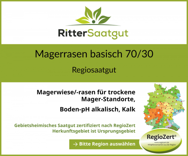 Magerrasen basisch 70-30 Magerrasen basisch 70-30