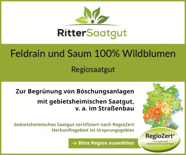 Feldrain und Saum 100% Wildblumen Feldrain und Saum 100% Wildblumen