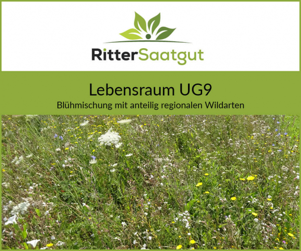 Lebensraum UG9