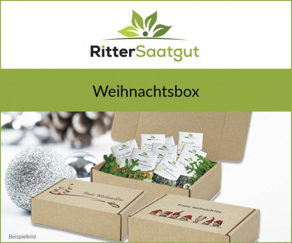 Weihnachtsgeschenkbox