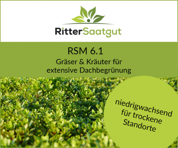 RSM 6.1 | Extensive Dachbegrünung RSM 6.1 | Extensive Dachbegrünung