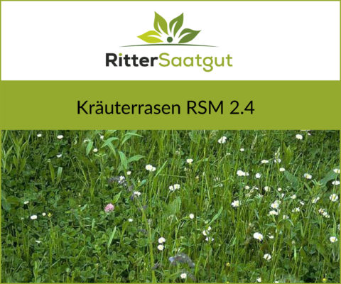 Nahaufnahme eines Kräuterrasens mit Gänseblümchen mit der Überschrift Kräuterrasen RSM 2.4 unter dem Ritter Saatgut Firmenlogo