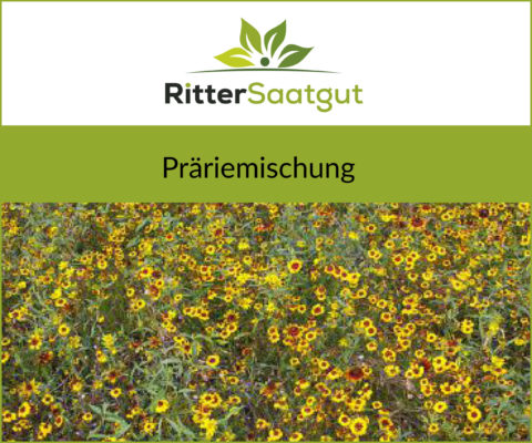Nahaufnahme von einer bunten Blumenwiese mit der Überschrift Praeriemischung unter dem Firmenlogo von Ritter Saatgut