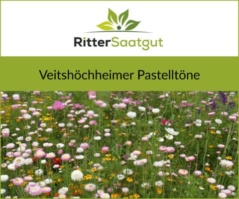 Nahaufnahme von einer bunten Blumenwiese mit der Überschrift Veitshöchheimer Pastelltöne unter dem Firmenlogo von Ritter Saatgut