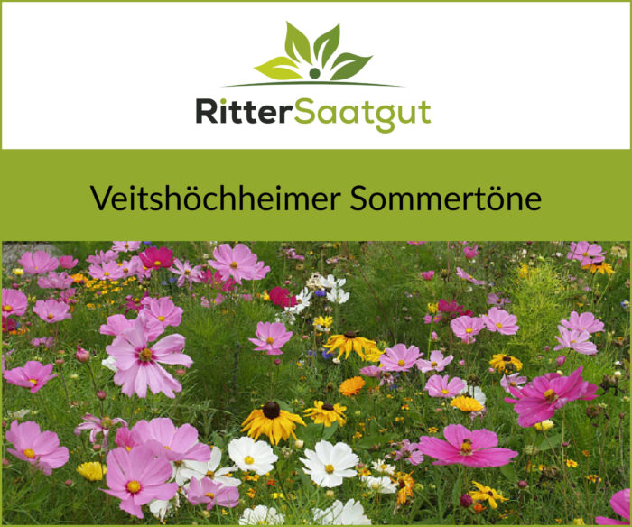 Nahaufnahme von einer bunten Blumenwiese mit der Überschrift Veitshöchheimer Sommertöne unter dem Firmenlogo von Ritter Saatgut