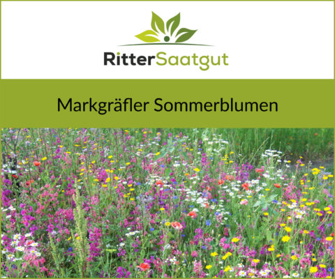 Nahaufnahme von einer bunten Blumenwiese mit der Überschrift Markgräfler Sommerblumen unter dem Firmenlogo von Ritter Saatgut