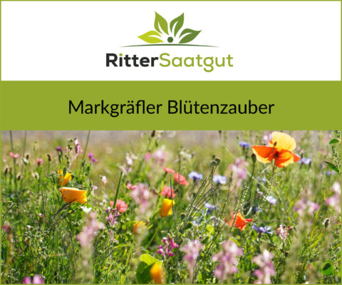 Nahaufnahme von einer bunten Blumenwiese mit der Überschrift Markgräfler Blütenzauber unter dem Firmenlogo von Ritter Saatgut