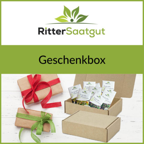 Ritter Saatgut Geschenkbox