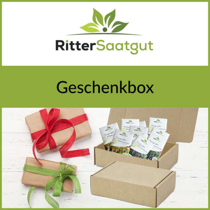 Ritter Saatgut Geschenkbox